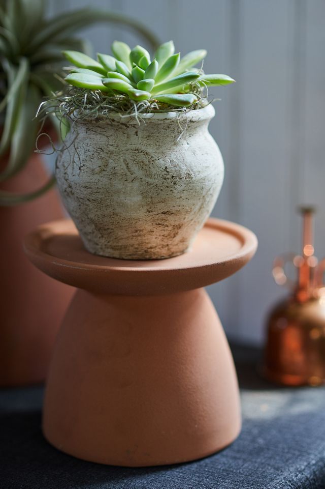 Ceramic Plant Riser #4