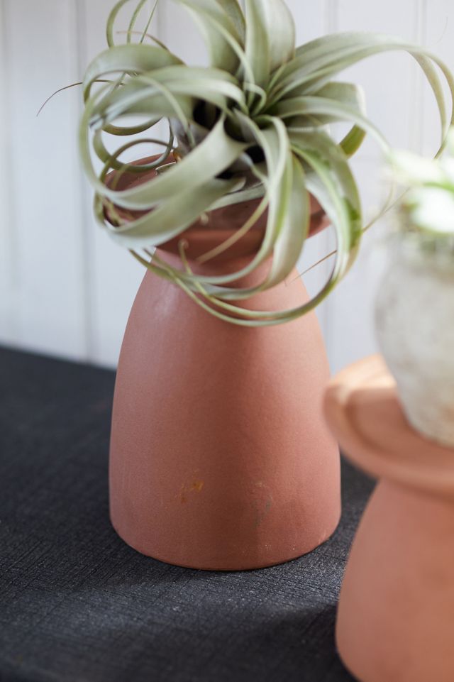 Ceramic Plant Riser #5