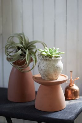 Ceramic Plant Riser