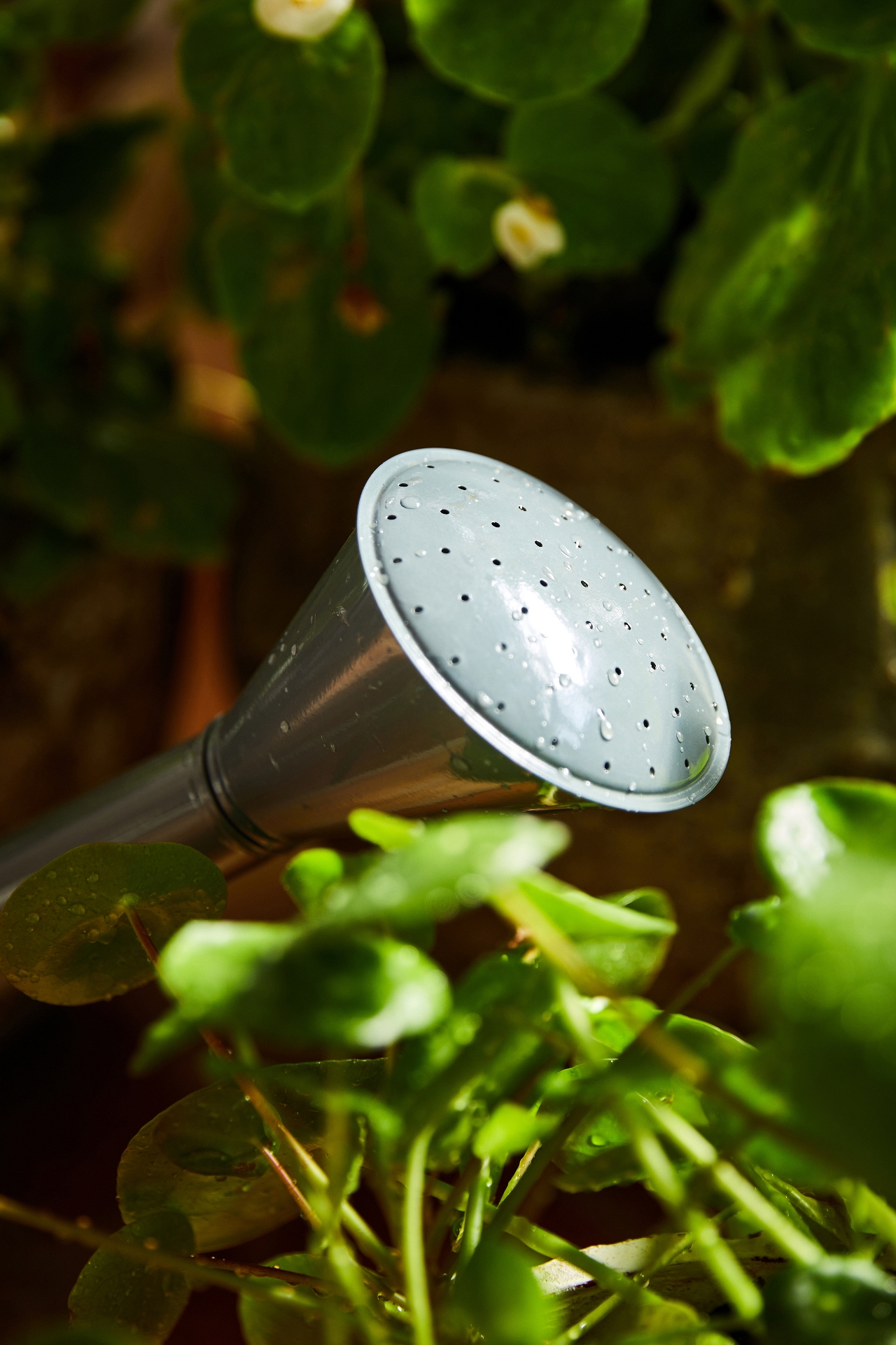 Galvanized Steel Watering Can