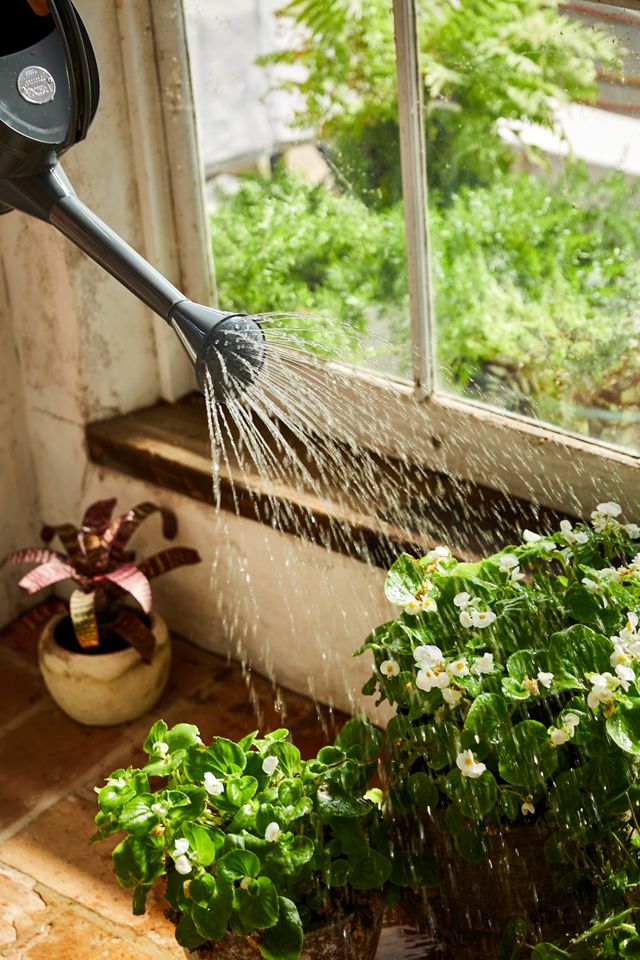 Galvanized Steel Watering Can #4