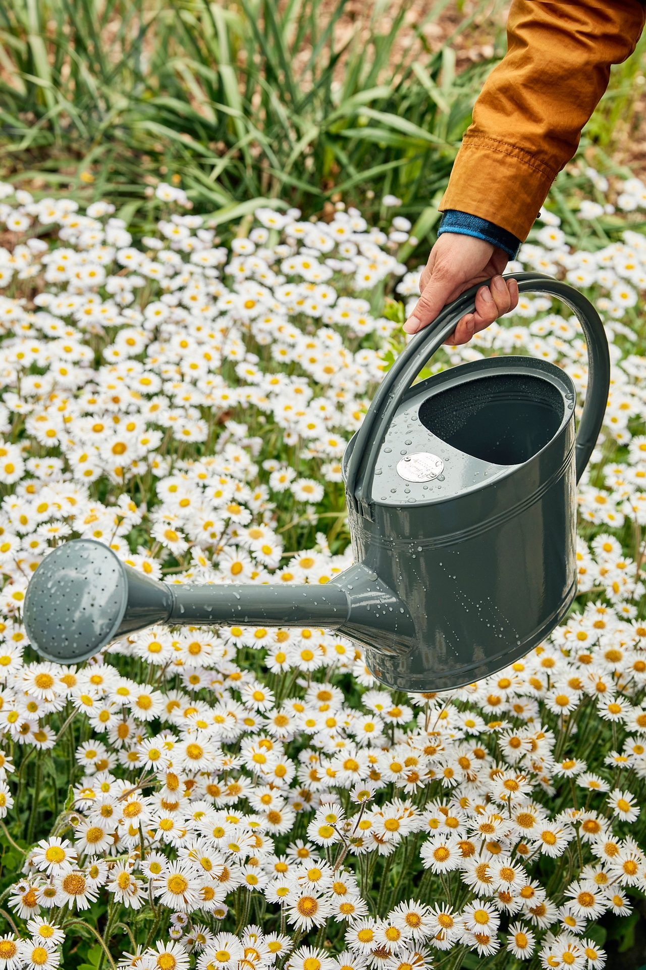 Galvanized Steel Watering Can