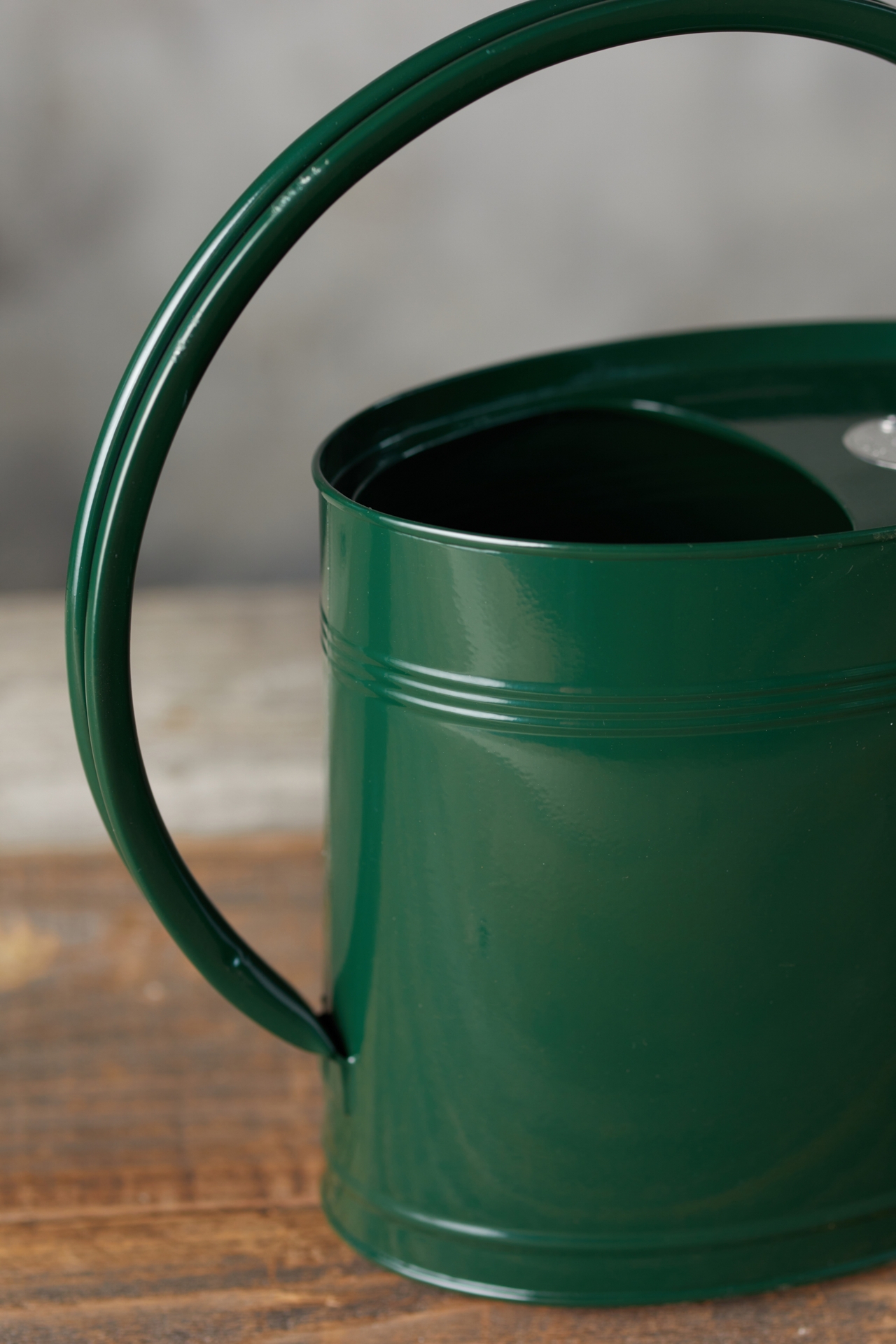 Galvanized Steel Watering Can