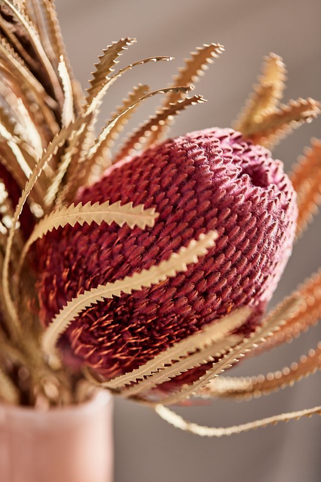 Dried Banksia Bunch #1