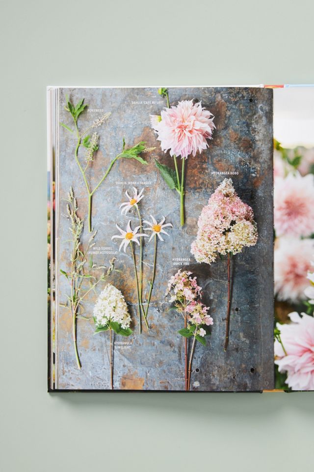 Floret Farm's Discovering Dahlias #2