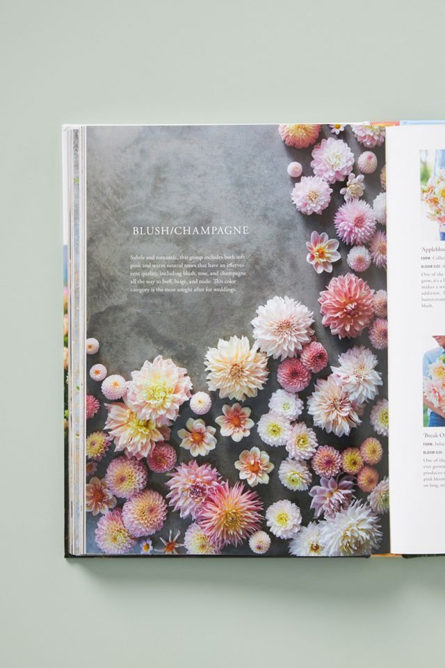 Floret Farm's Discovering Dahlias #3