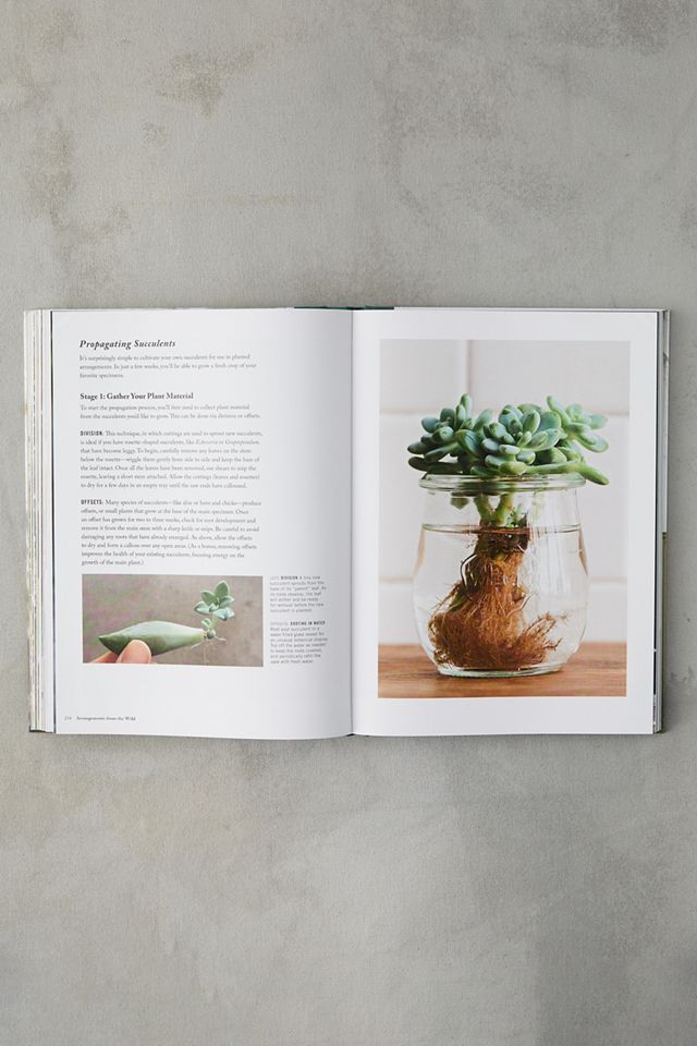Terrain: Ideas and Inspiration for Decorating the Home and Garden #3