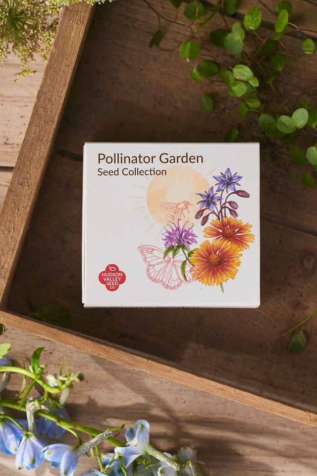 Pollinator Garden Seed Set #1