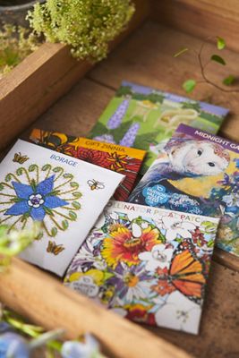 Pollinator Garden Seed Set