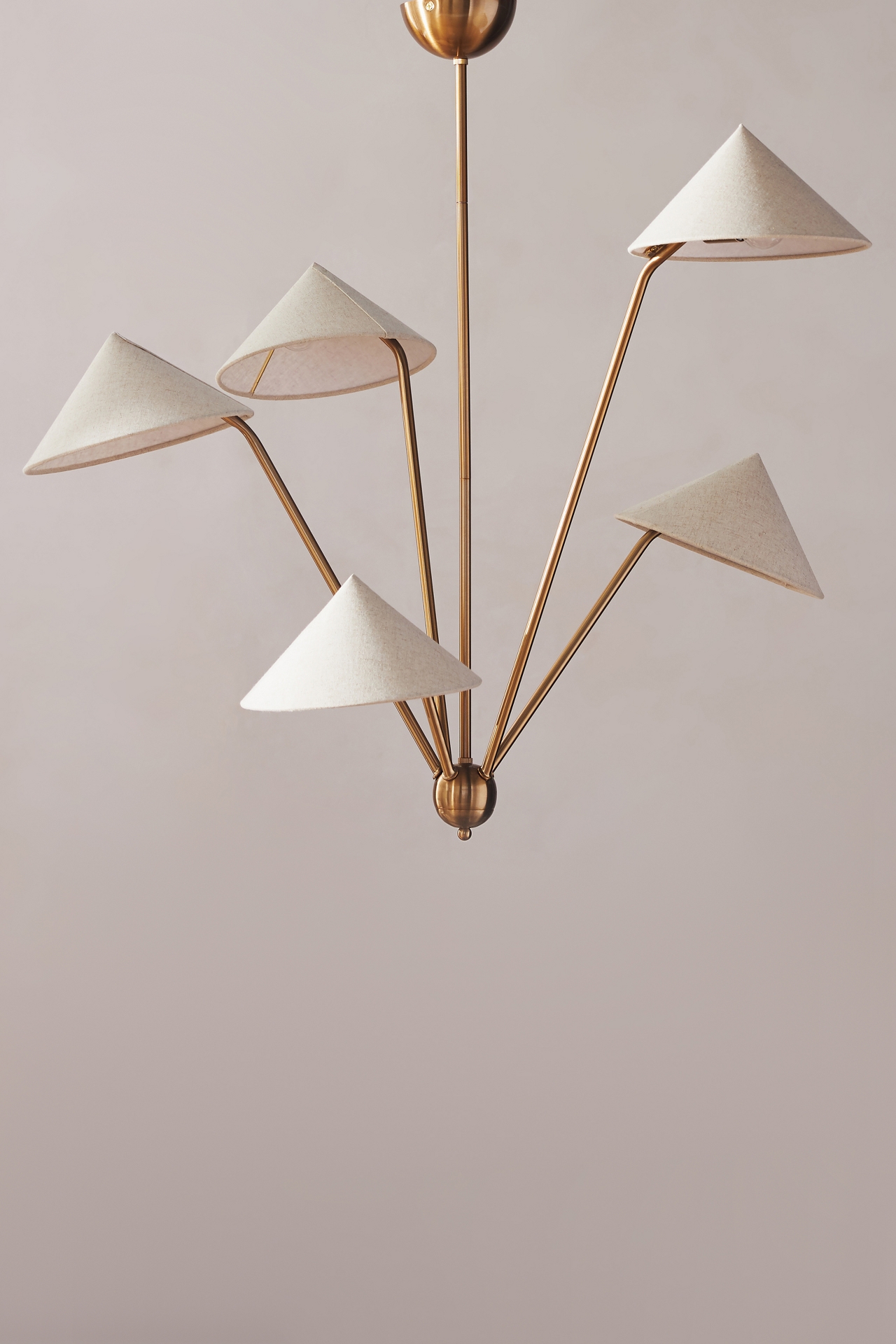 Amber Lewis for Anthropologie Mantis Chandelier