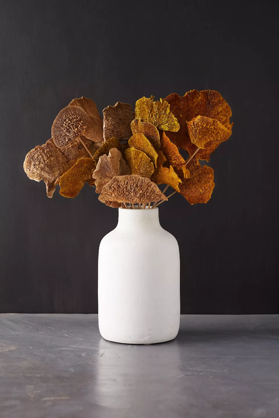 mushroom sets