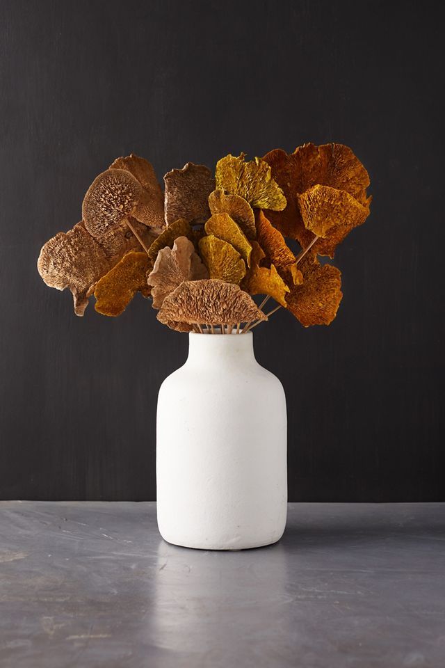 Preserved Mushroom Stems, Set of 3 #2