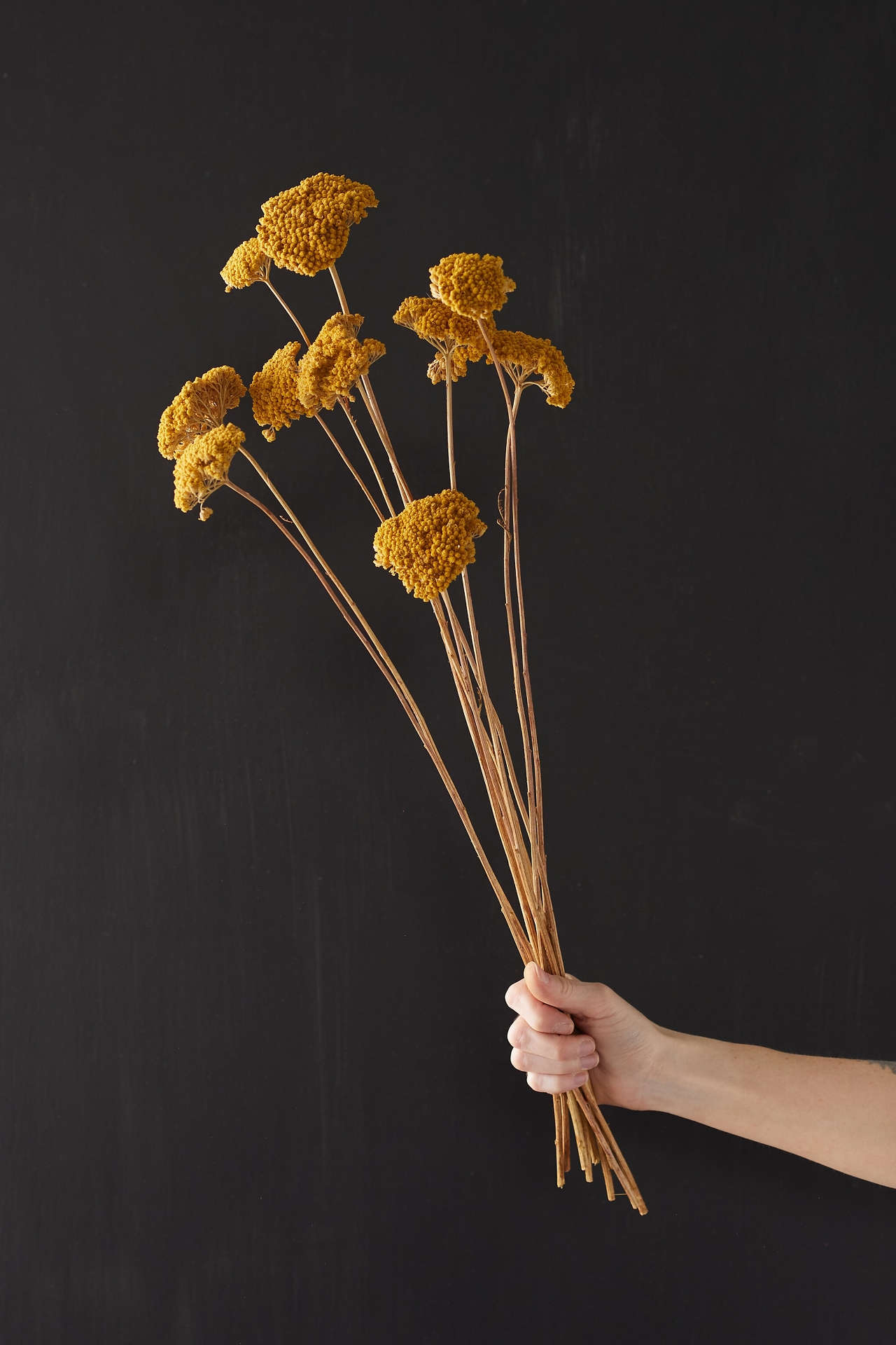 Dried Yarrow Bunch