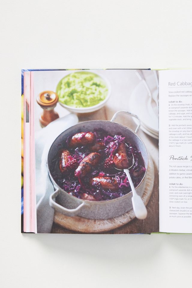 The Forager's Kitchen #2