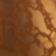 PUMPKIN CLOVE