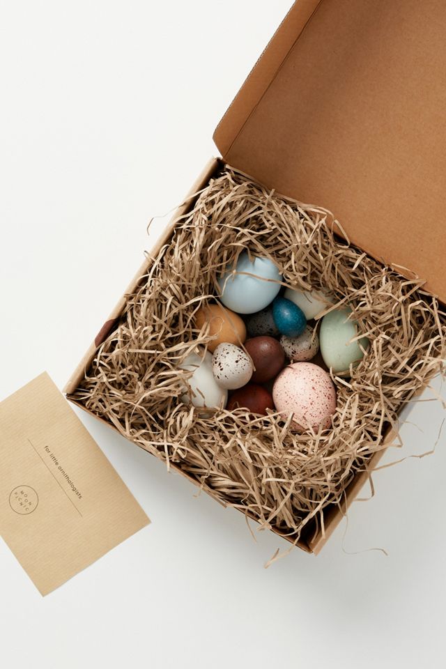 A Dozen Bird Eggs Toy Set #1
