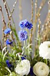 Fresh Blue Cornflower, White Ranunculus, Willow Bouquet #1
