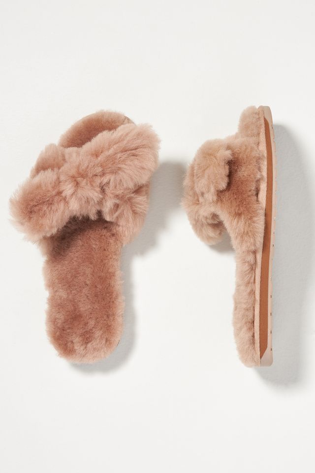 Emu ugg hot sale slippers