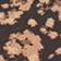 SAND SPECKLE LEOPARD