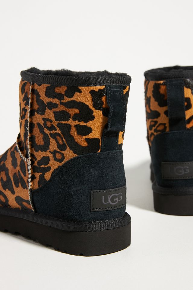 UGG Leopard Printed Classic Mini Boots Anthropologie