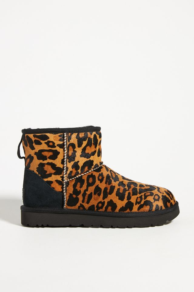 Leopard deals ugg boots