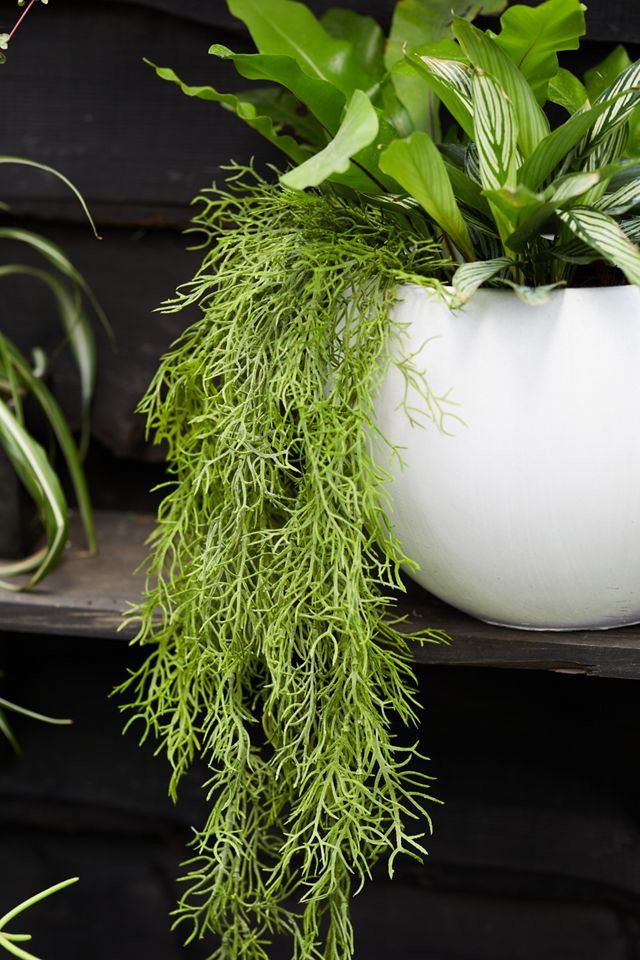 Faux Hanging Moss Terrain