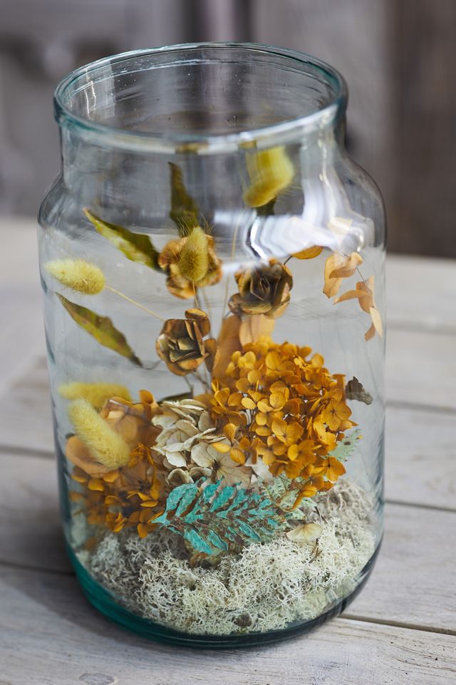 Recycled Glass Jar Terrarium #7