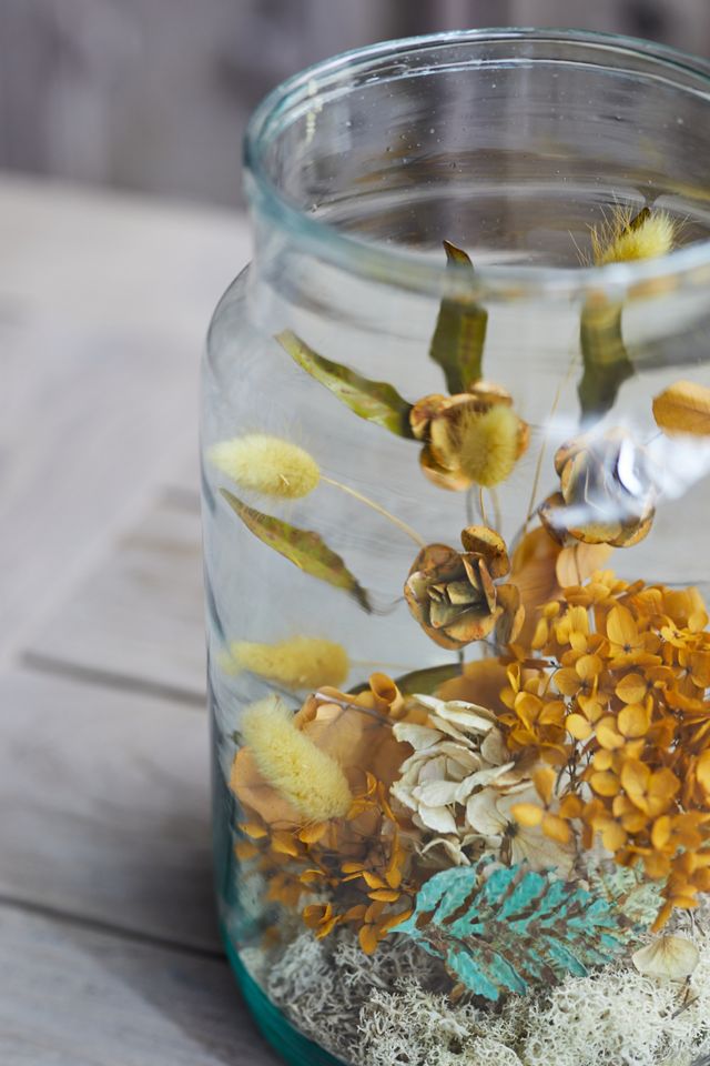 Recycled Glass Jar Terrarium #8