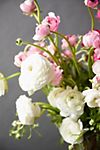 Fresh White + Pink Ranunculus Bunch #4