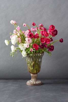 Fresh White + Pink Ranunculus Bunch