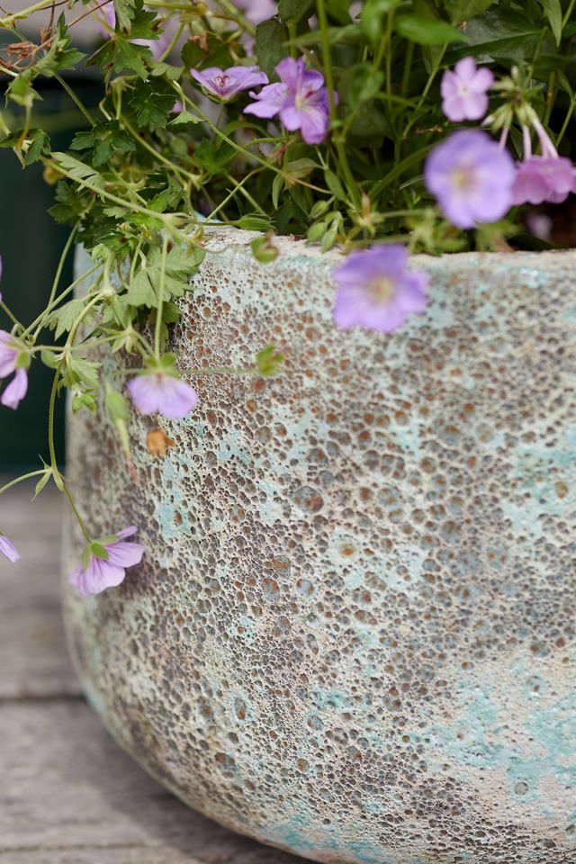 Barnacle Blue Planter #1