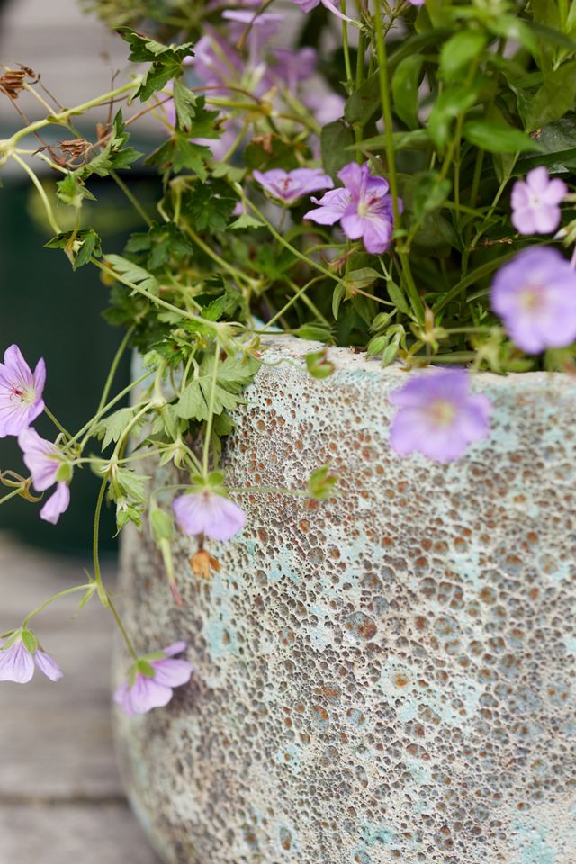 Barnacle Blue Planter #2