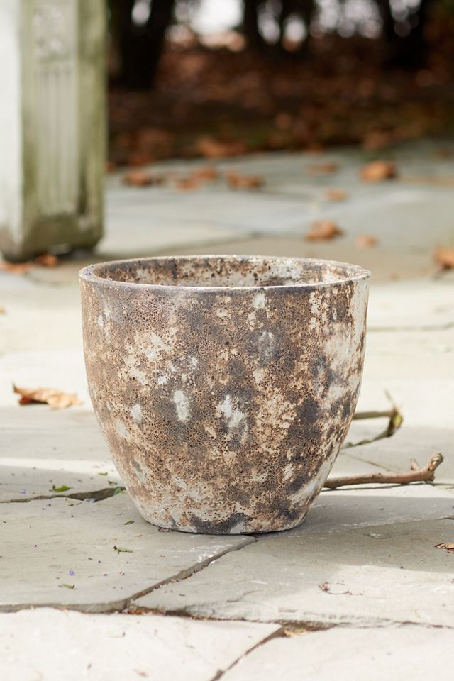 Barnacle Rounded Egg Planter #2