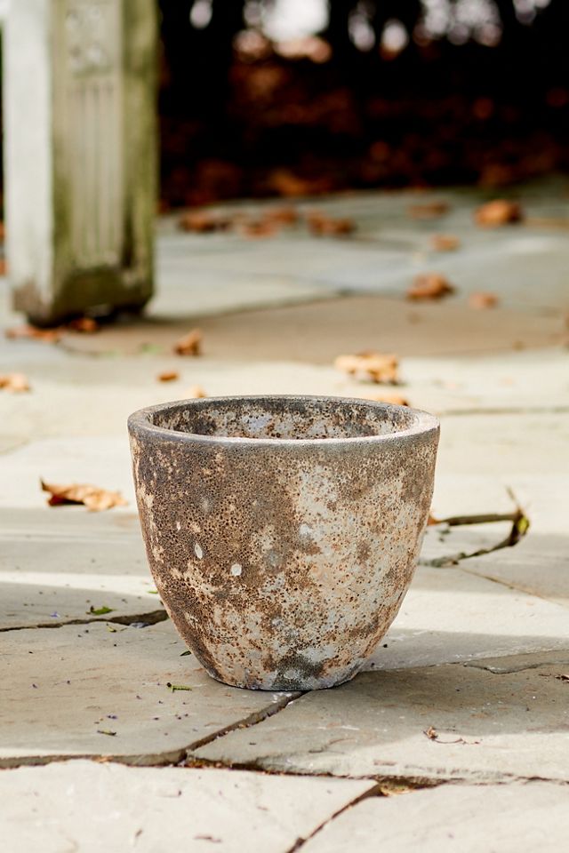 Barnacle Rounded Egg Planter #3