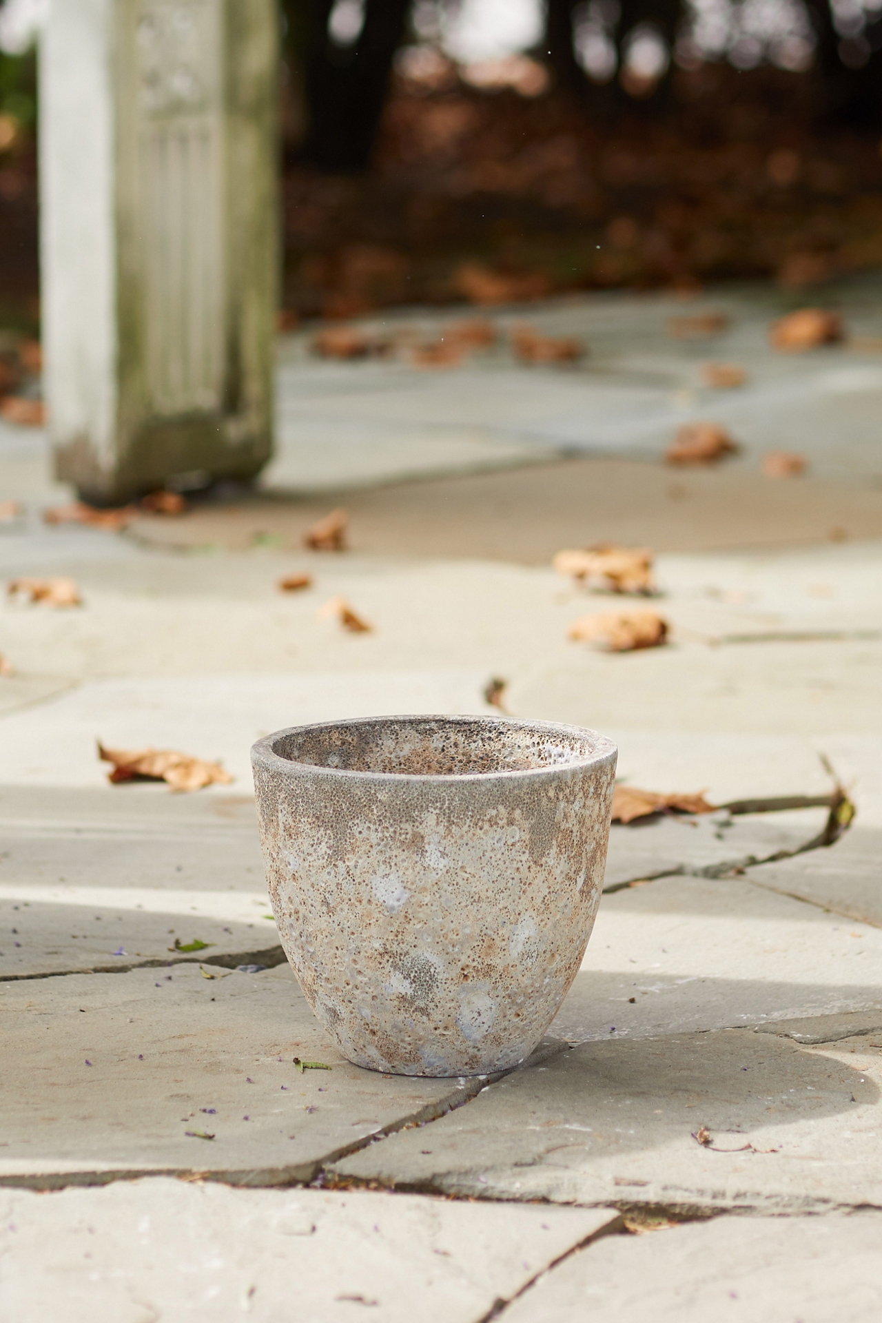Barnacle Rounded Egg Planter