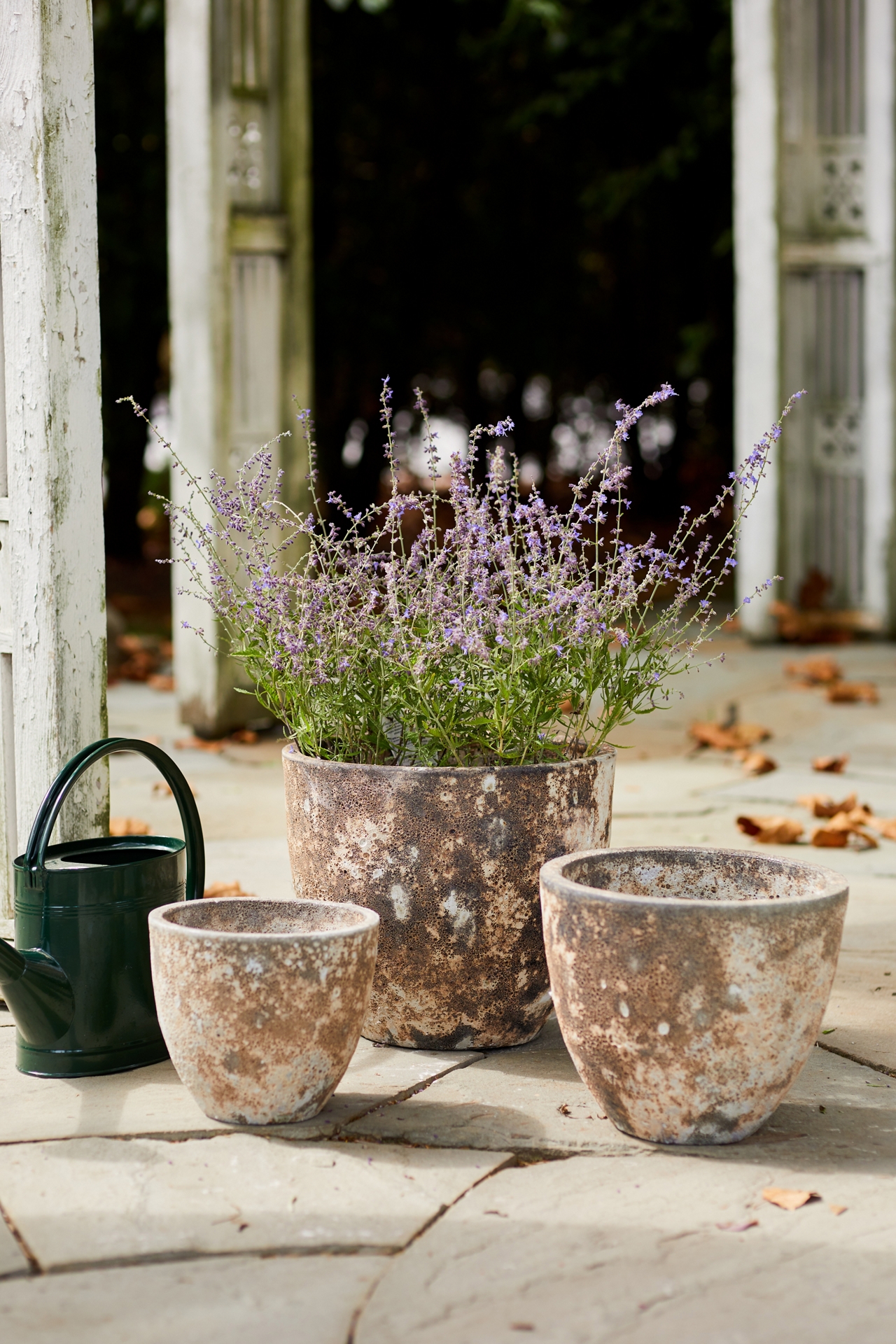 Barnacle Rounded Egg Planter