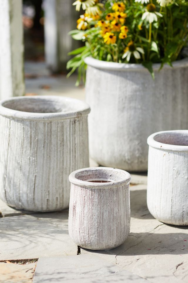 Roll Top Ceramic Planter #1
