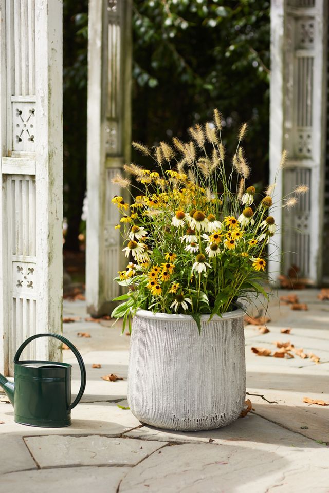 Roll Top Ceramic Planter #2