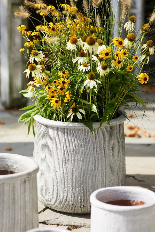 Roll Top Ceramic Planter #7