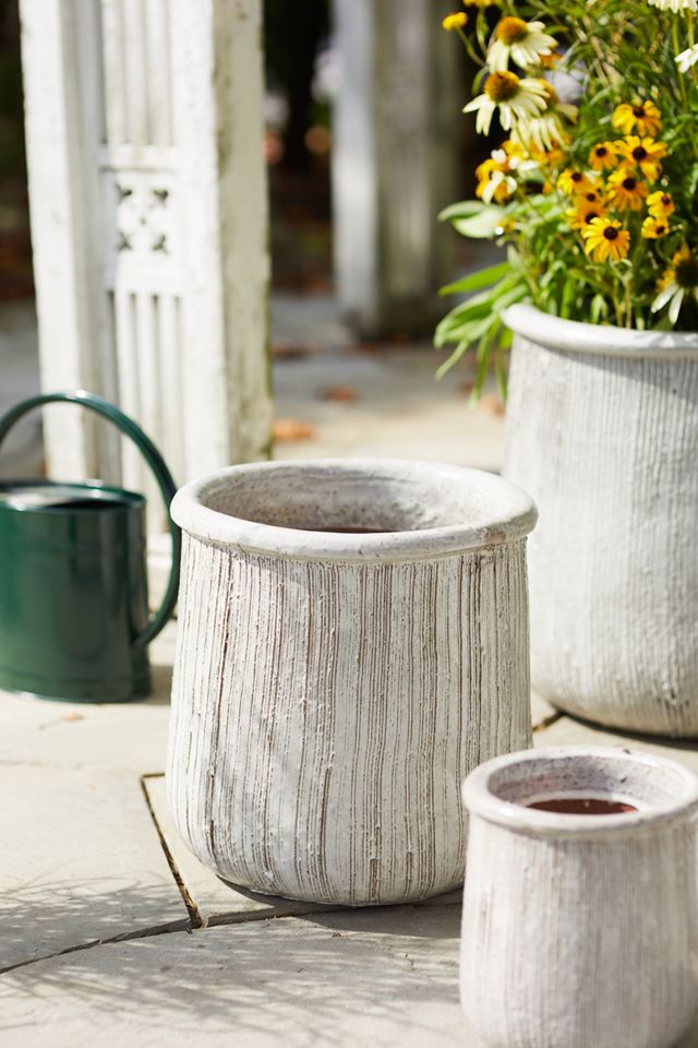 Roll Top Ceramic Planter #8