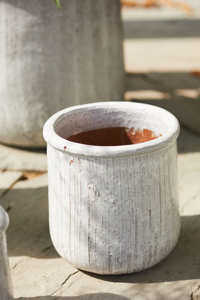 Roll Top Ceramic Planter #9