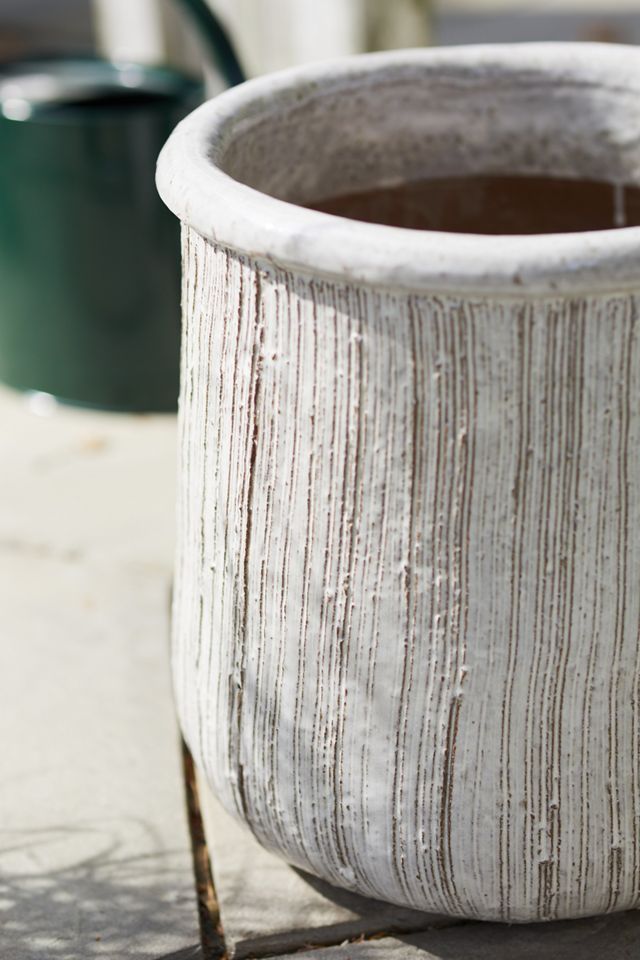 Roll Top Ceramic Planter #11