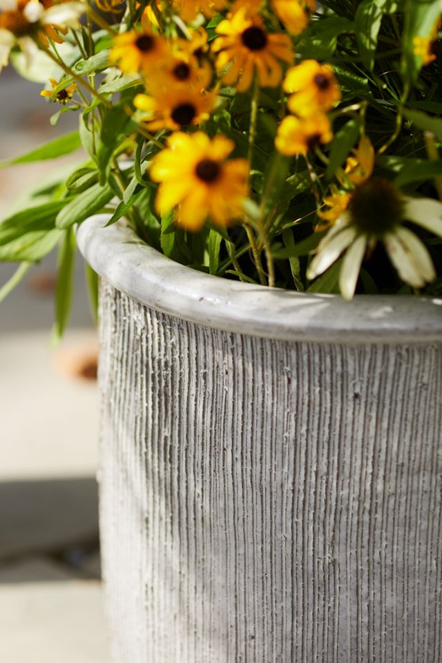 Roll Top Ceramic Planter #12