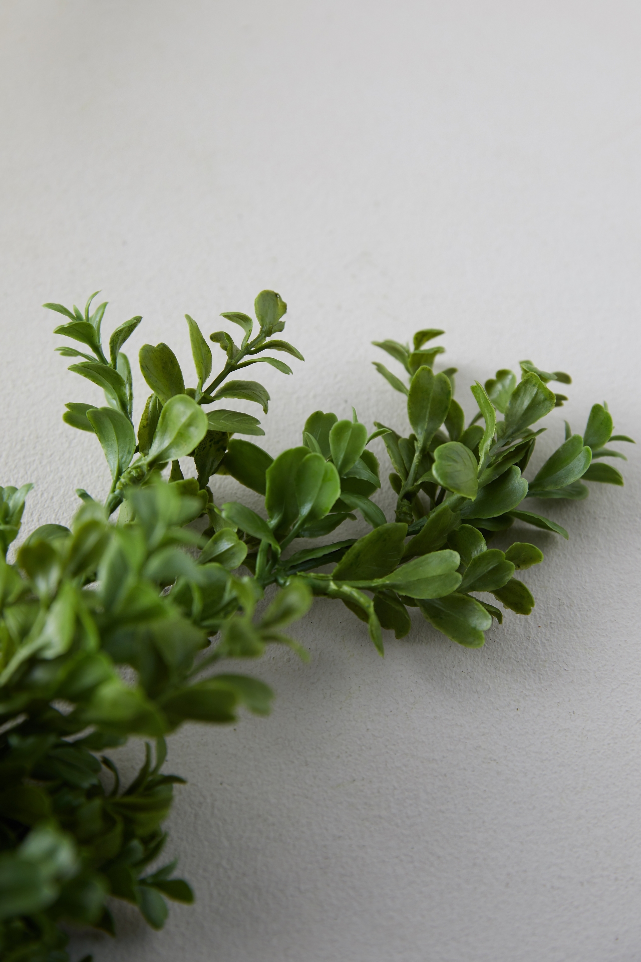 Faux Boxwood Garland