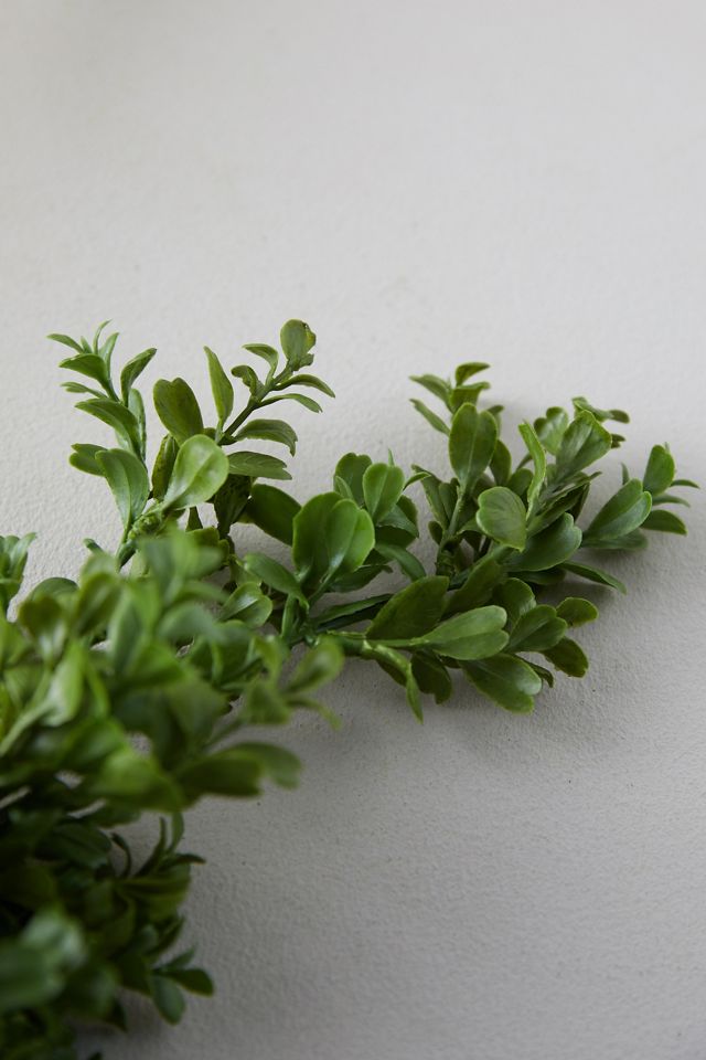 Faux Boxwood Garland #4