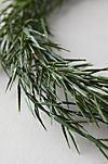 Faux Rosemary Garland #1