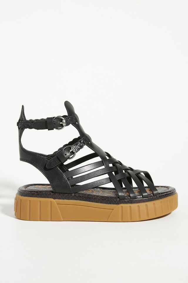 Sam edelman criss cross hot sale sandals