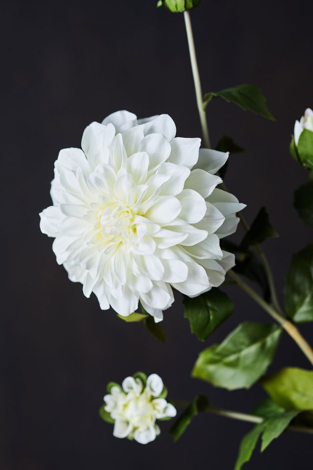 Faux Dahlia Spray, Pink + White #1