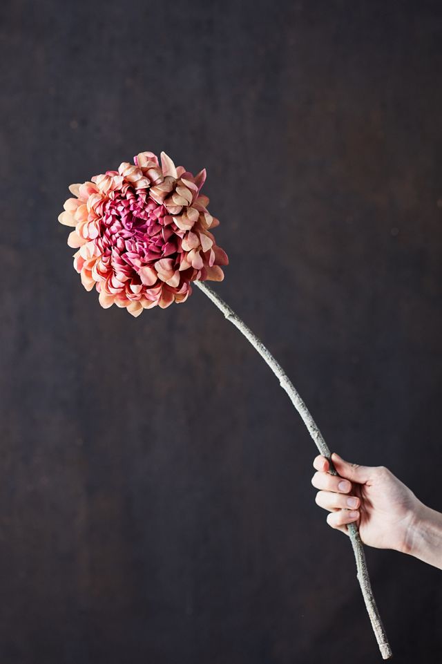 Faux Chrysanthemum Stem Anthropologie