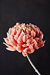 Faux Chrysanthemum Stem #1